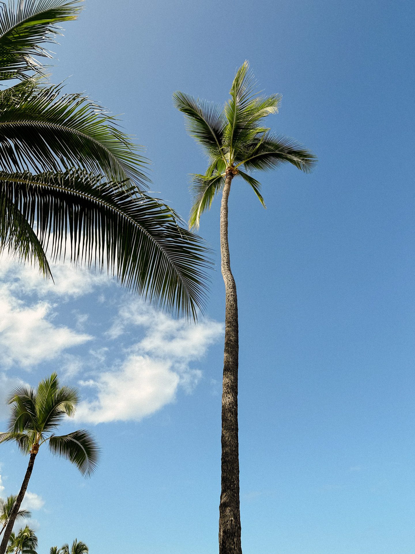 Discover Magic Sands Beach: Kona Hawaii’s Pristine Shoreline Paradise