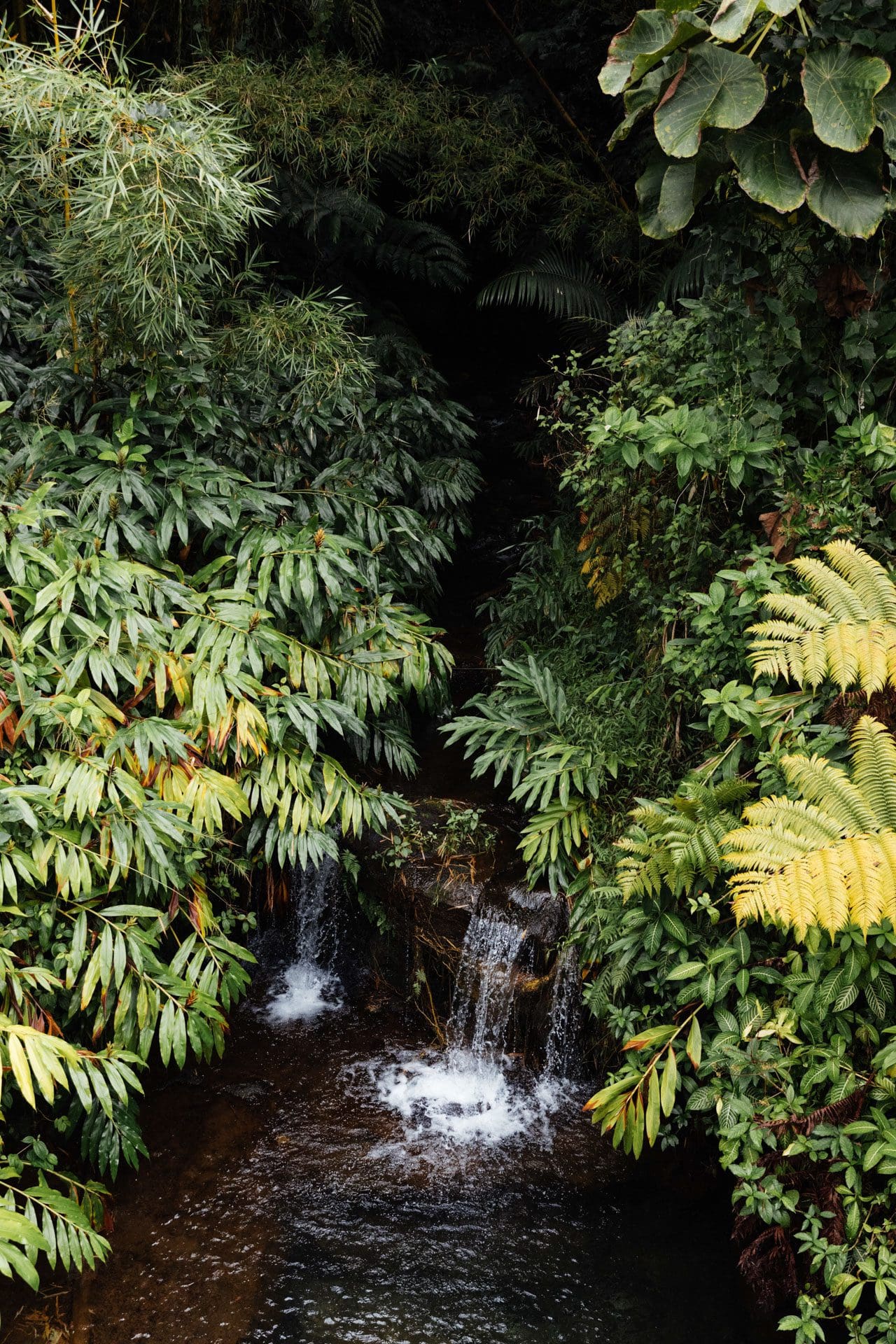 Akaka Falls