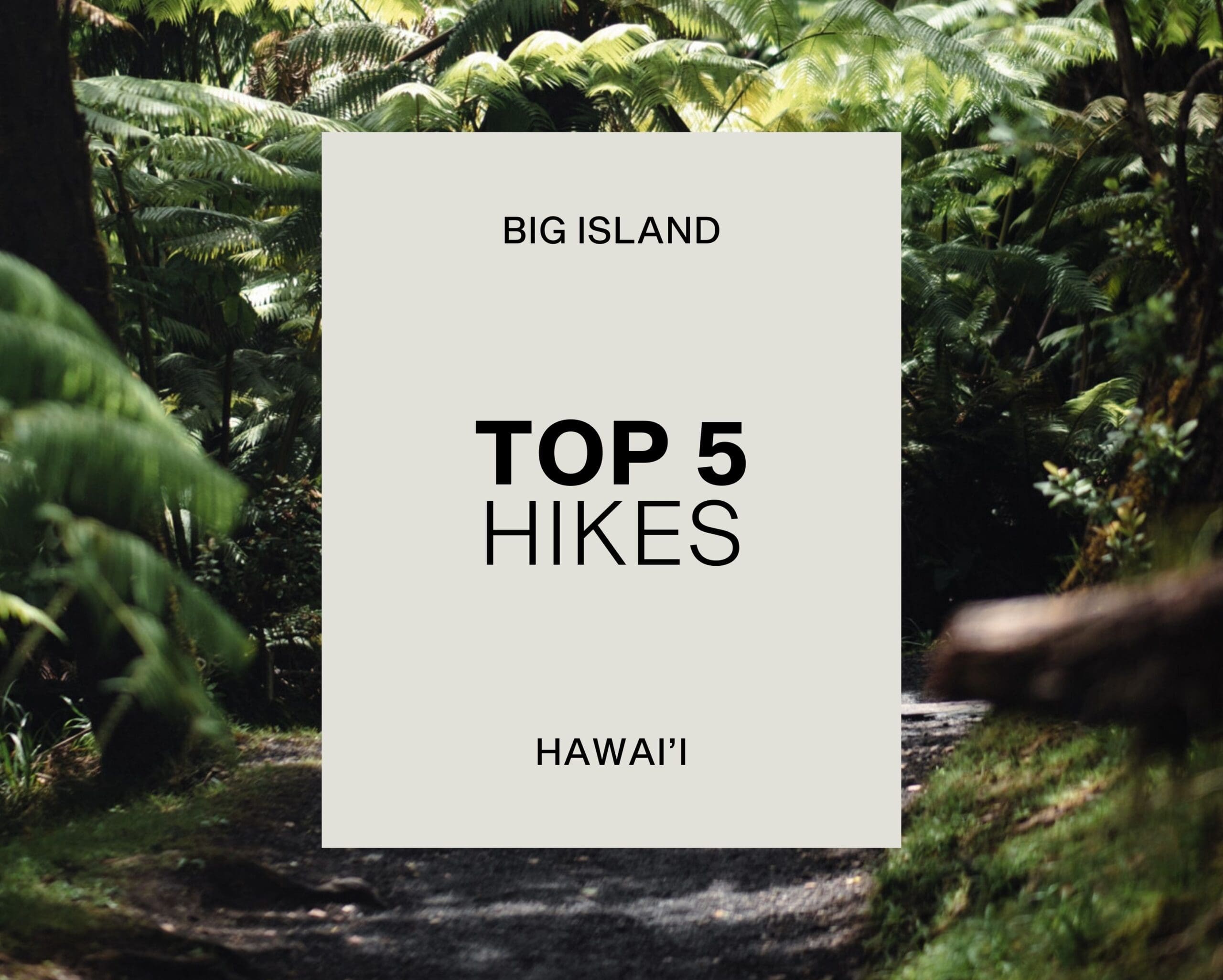 Top 5 Hikes on the Big Island
